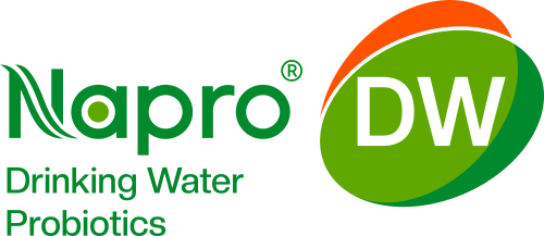 Napro® DW Probiotics