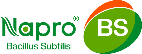 Napro® BS Probiotics